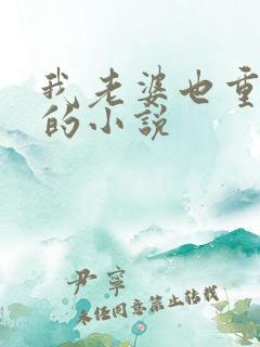 我老婆也重生了的小说