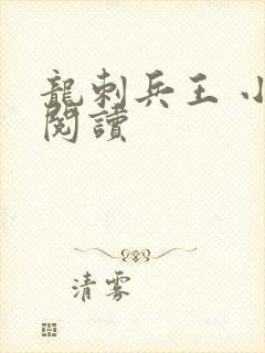 龙刺兵王 小说阅读