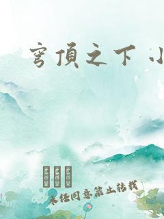 穹顶之下 小说