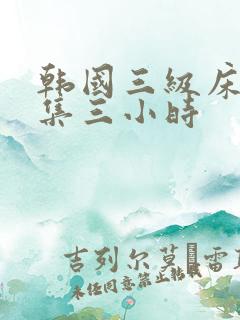 韩国三级床戏合集三小时