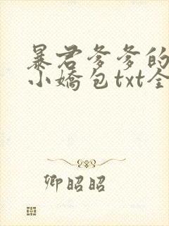 暴君爹爹的团宠小娇包txt全本