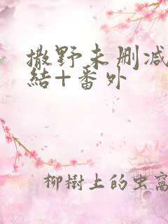 撒野未删减版完结+番外