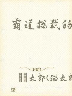 霸道总裁的恋情