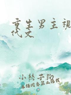 重生男主视角年代文