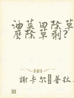 油菜田除草用什么除草剂?