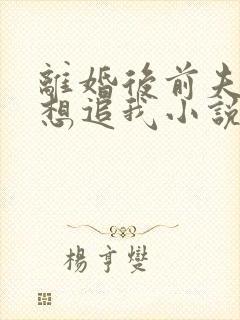 离婚后前夫总是想追我小说无弹窗
