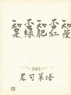 知否知否知否应是绿肥红瘦好看吗