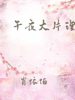 午夜大片理论片