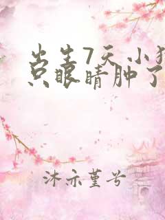 出生7天小狗一只眼睛肿了