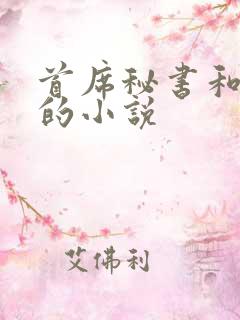 首席秘书和总裁的小说