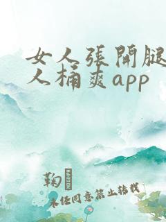 女人张开腿让男人桶爽app
