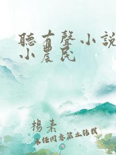 听有声小说至尊小农民