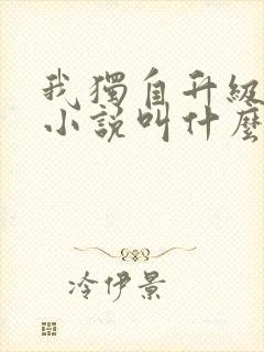 我独自升级原著小说叫什么