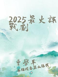 2025最火谍战剧