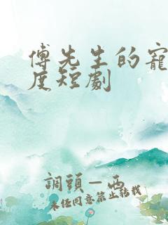 傅先生的宠妻无度短剧