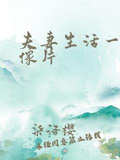 夫妻生活一级录像片