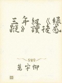 三年级《绿野仙踪》读后感