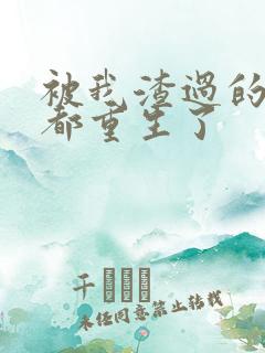 被我渣过的男主都重生了