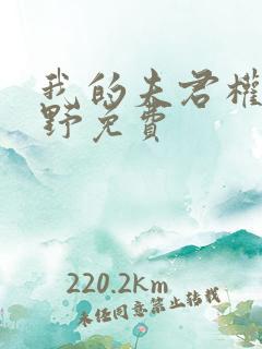 我的夫君权倾朝野免费