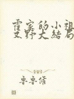 霍家的小祖宗甜又野大结局