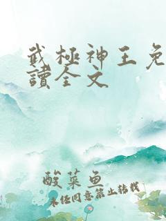 武极神王免费阅读全文