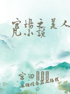 官场之美人计徐凡小说
