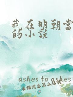 我在明朝当暴君的小说