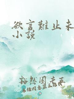 欲言难止未删减小说
