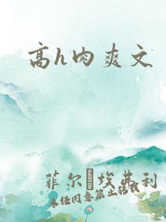 高h肉爽文