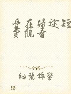 爱在归途短剧免费观看