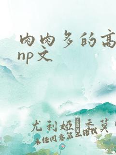 肉肉多的高h np文