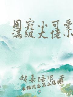 团宠小可爱成了满级大佬小说免费