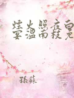 烟火照夜白沈清宴温南枝免费