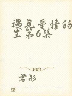 遇见爱情的利先生第6集