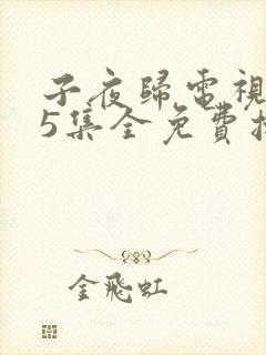 子夜归电视剧35集全免费播放
