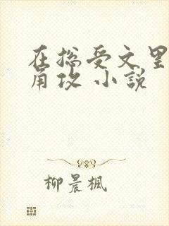 在总受文里抢主角攻 小说