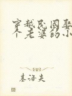 穿越民国娶了7个老婆的小说