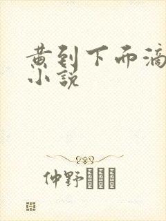 黄到下面滴水的小说