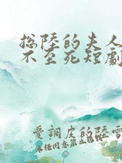 总陆的夫人她罪不至死短剧免费在线