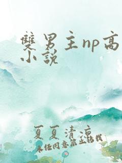 双男主np高h小说