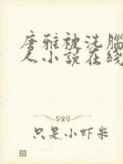 唐雅被洗脑叫主人小说在线阅读