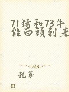 71猪和73牛能白头到老吗
