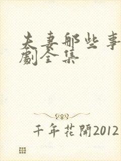 夫妻那些事电视剧全集