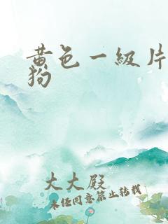 黄色一级片人和狗