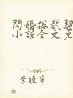 闪婚总裁契约妻小说全文免费