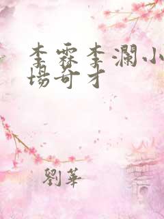 李霖李澜小说官场奇才