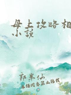 母上攻略相似的小说