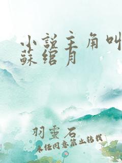 小说主角叫林凡苏绾月