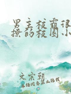 男主校霸很痞很撩的校园小说