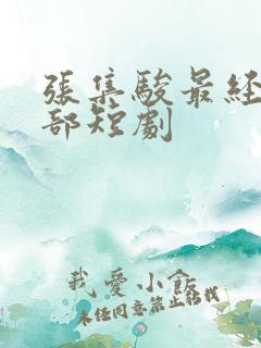 张集骏最经典十部短剧